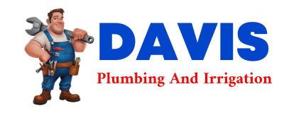 Trusted plumber in WINNETOON